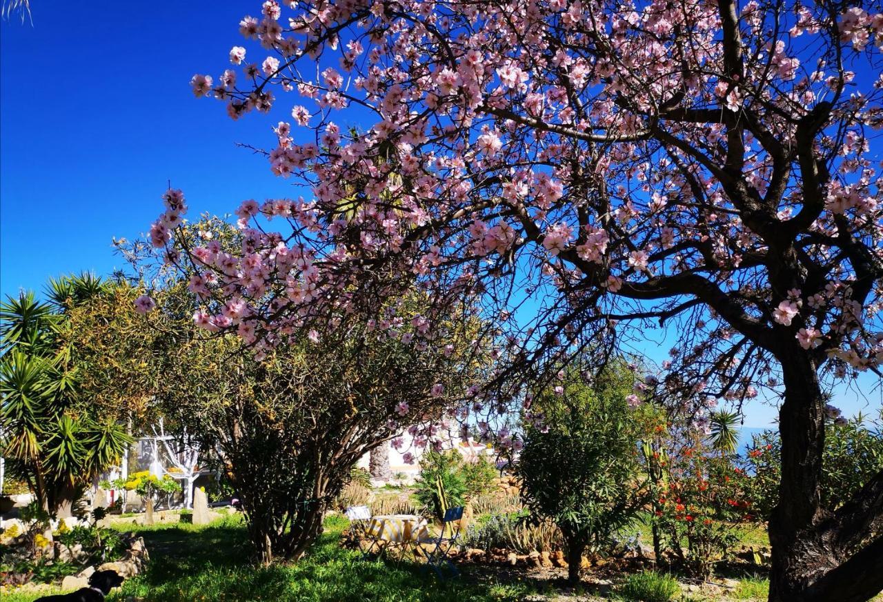 Finca Dulce Maikel Granadilla De Abona Bagian luar foto