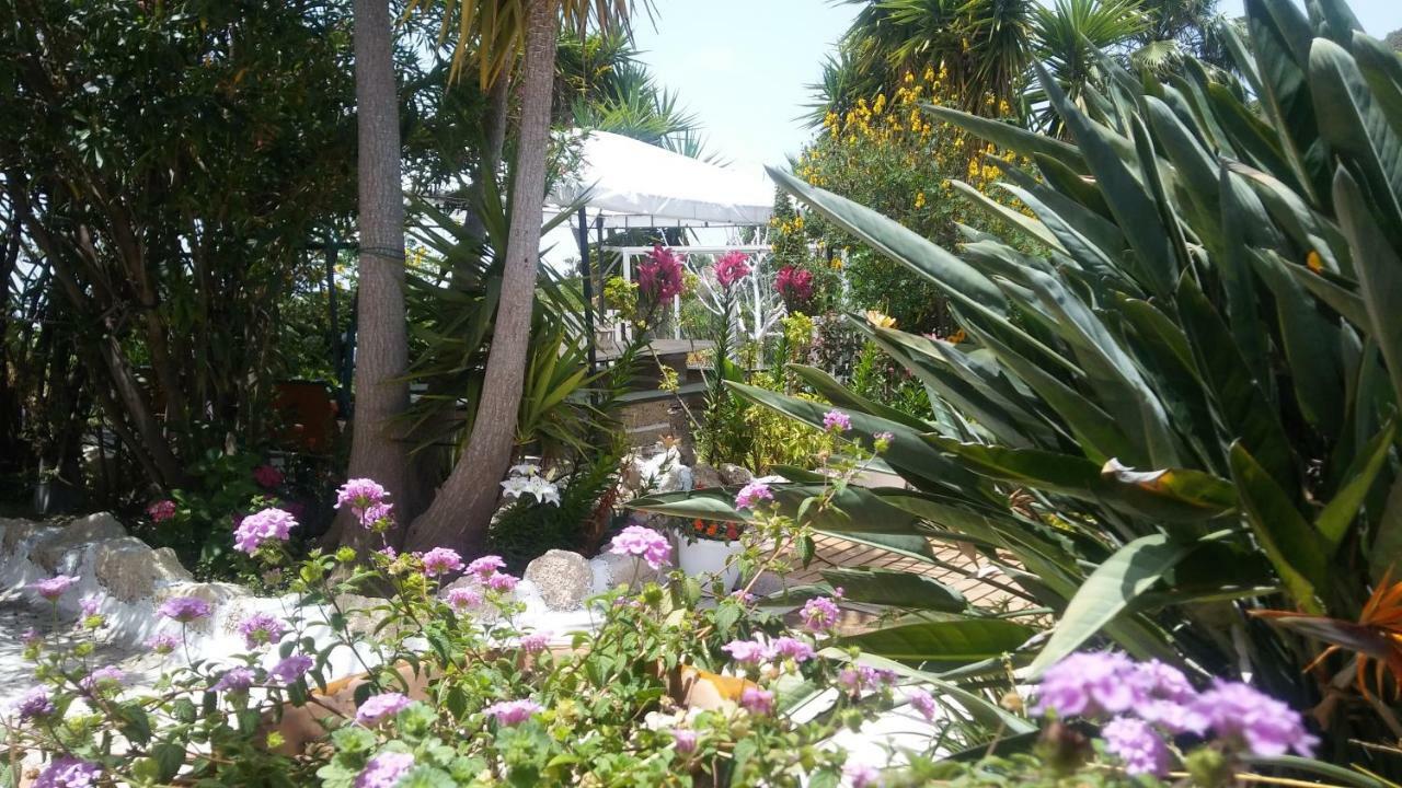 Finca Dulce Maikel Granadilla De Abona Bagian luar foto