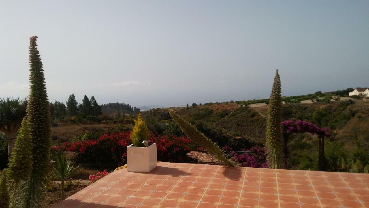 Finca Dulce Maikel Granadilla De Abona Bagian luar foto