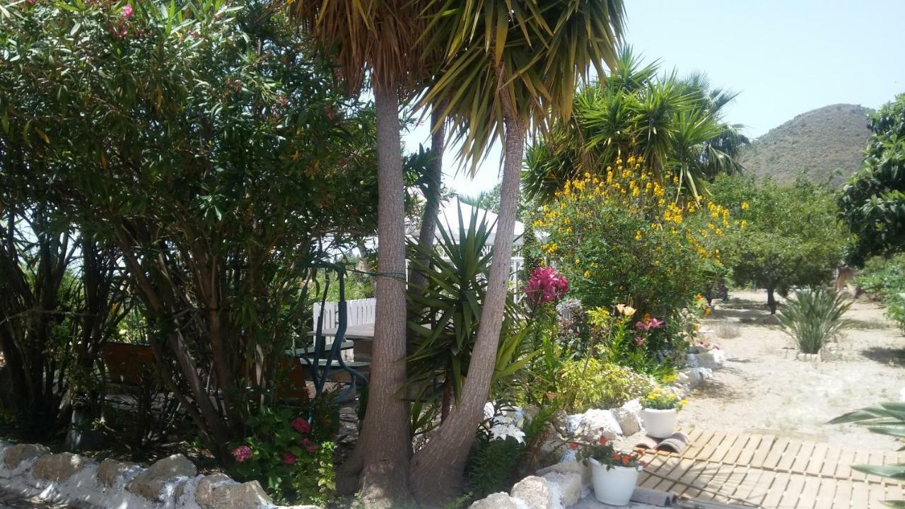 Finca Dulce Maikel Granadilla De Abona Bagian luar foto